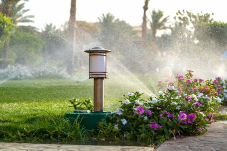 Water sprinkling flowers